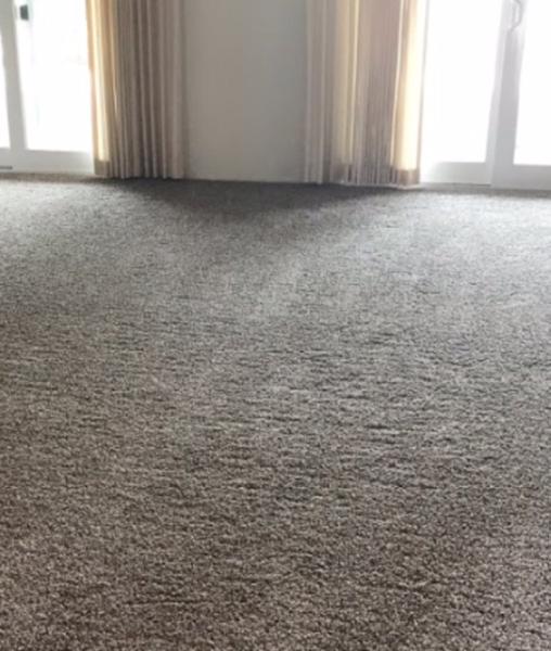 Surprise Carpet Cleaning Co.