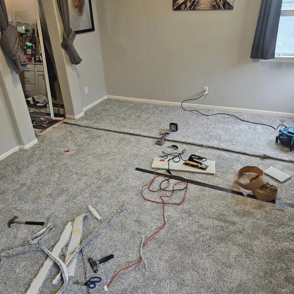All Clean Carpet Cleaning