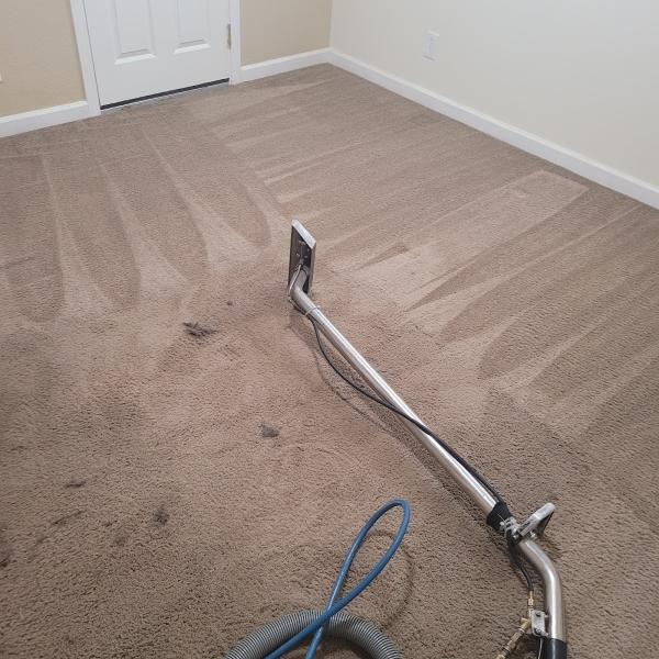 All Clean Carpet Cleaning