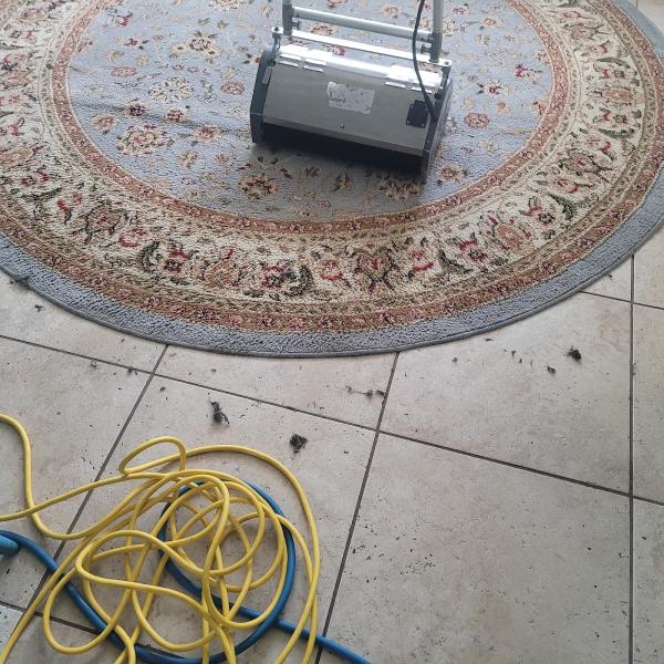 All Clean Carpet Cleaning