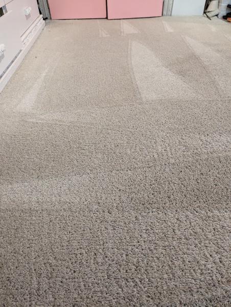 Family Comfort Carpet and Upholstery Dry Cleaning