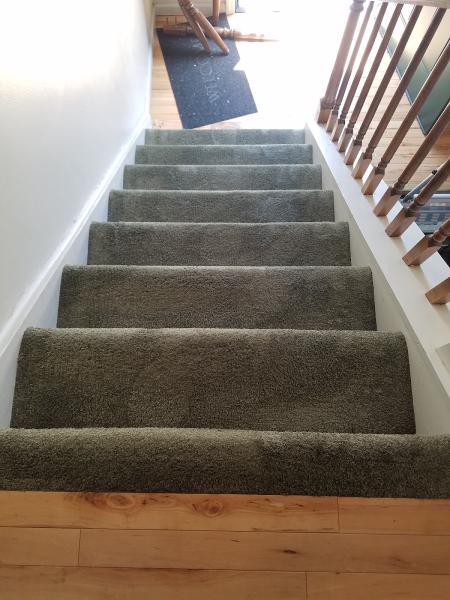 Family Comfort Carpet and Upholstery Dry Cleaning