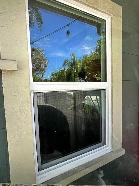 Window King