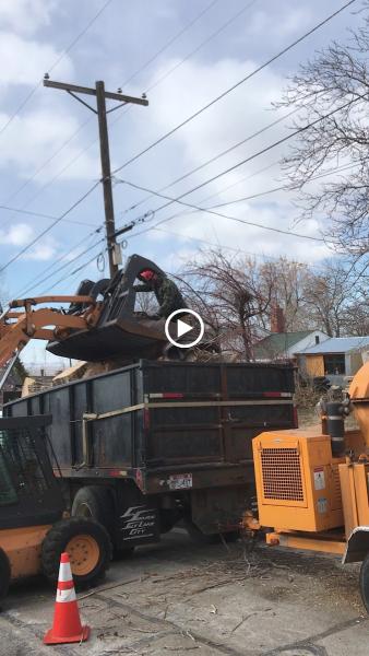 Cutting Edge Tree Professionals
