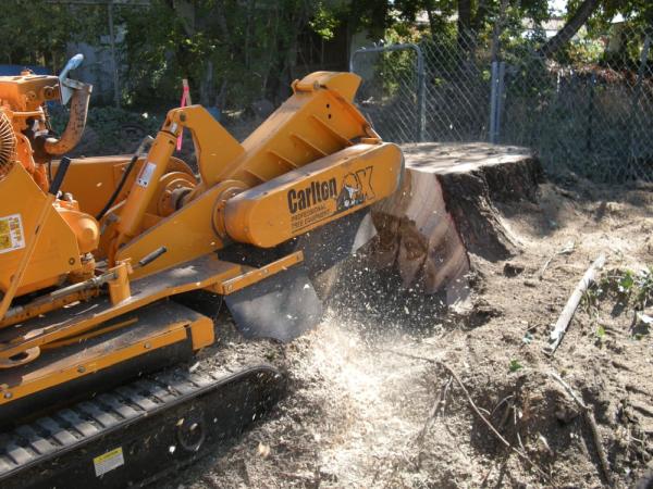 Cutting Edge Tree Professionals