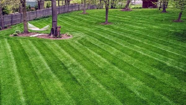 Going Green Lawn Care & Tractor Services