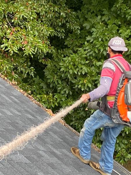 Santos & Son Gutters Cleaning