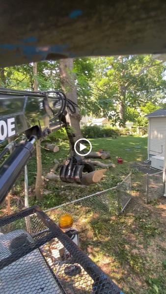 Osborn Tree Service