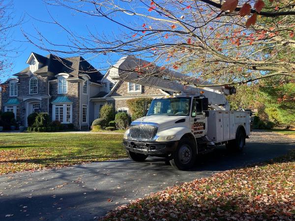 Osborn Tree Service