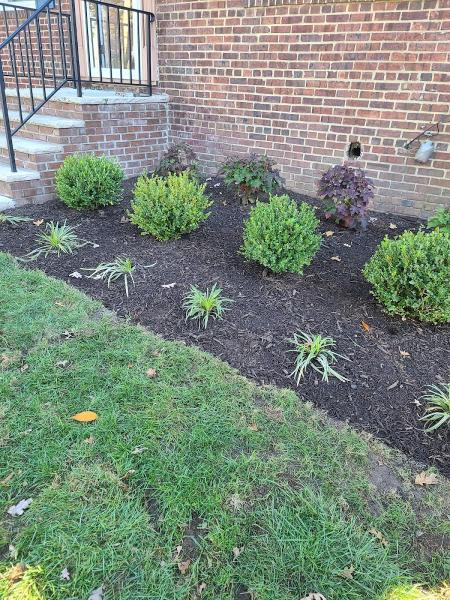 A & J Landscaping
