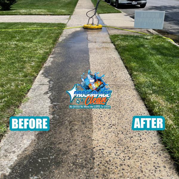 Pro Surface Clean