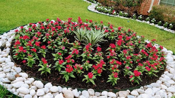 Frank Irrigation & Landscaping