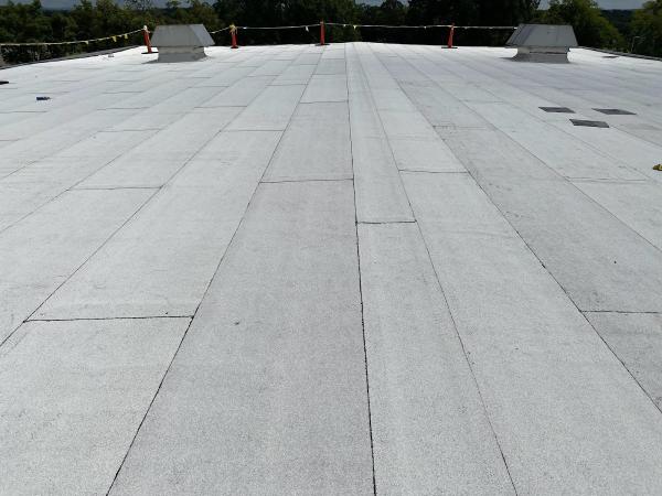 Roof Pro LLC