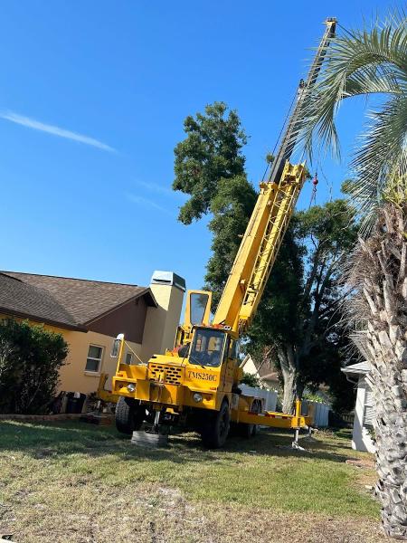 Morris Tree Service