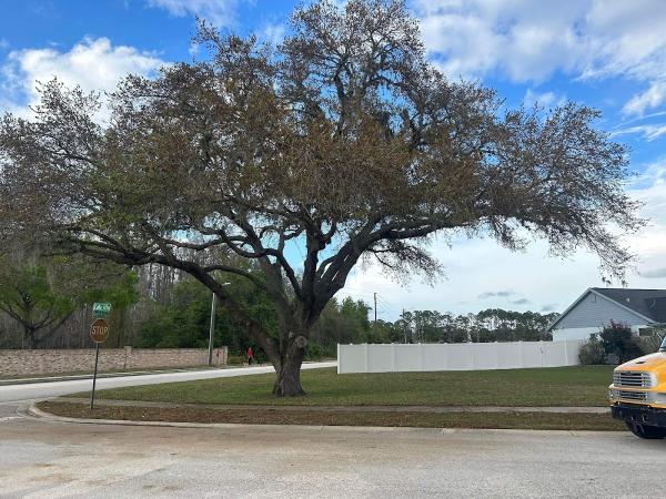 Morris Tree Service