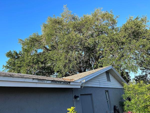 Morris Tree Service