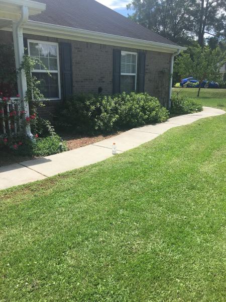 Southern Lawns