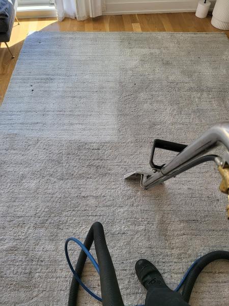 Chicago Carpet Revival