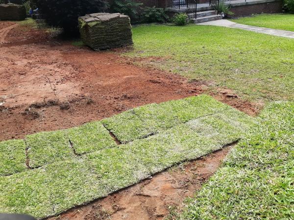 Honey Badger Lawn Care & Landscaping LLC