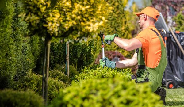 Quality Tree Service Fremont