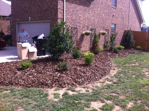 Green Green Lawn Service