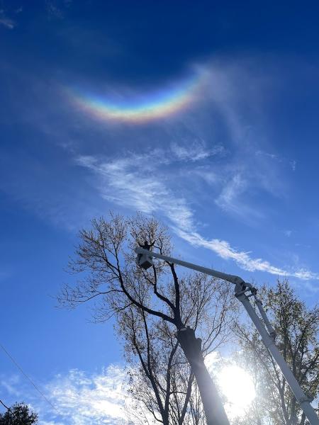 Ames Tree Service