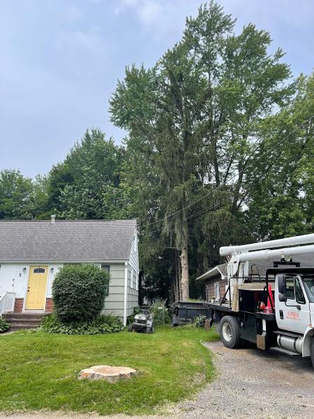 Ames Tree Service