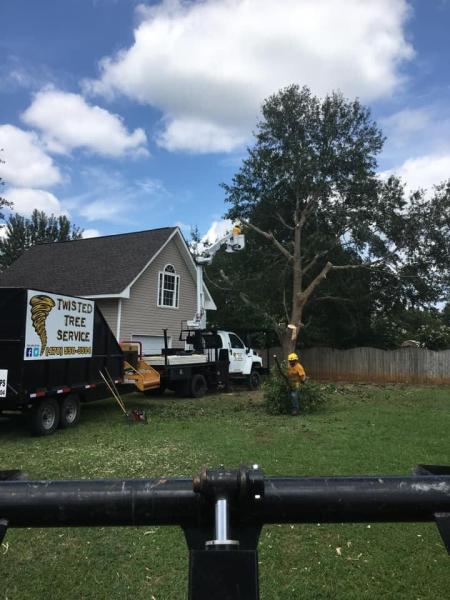Twisted Tree Service