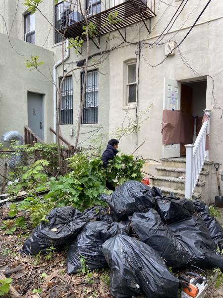 Power Tree Removal LLC