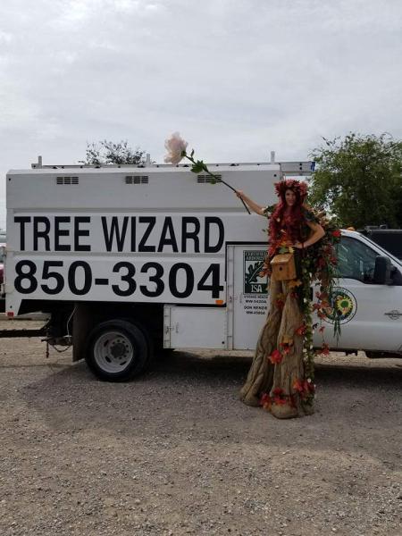 Tree Wizard Tree Service