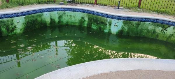Santonio's Pool Plaster & Remodeling