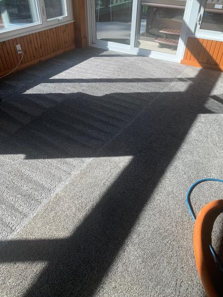 Economy Carpet Cleaning & Dye