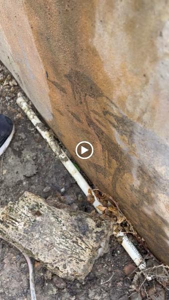 Pool-Side Leak Detection & Restoration Co.