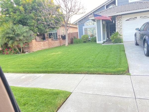 Federico's Gardening and Landscaping
