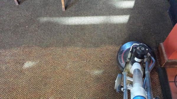 Suck It Up! Cleaning Service