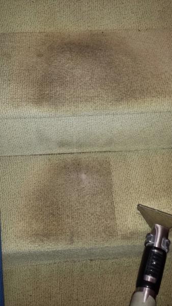 Suck It Up! Cleaning Service