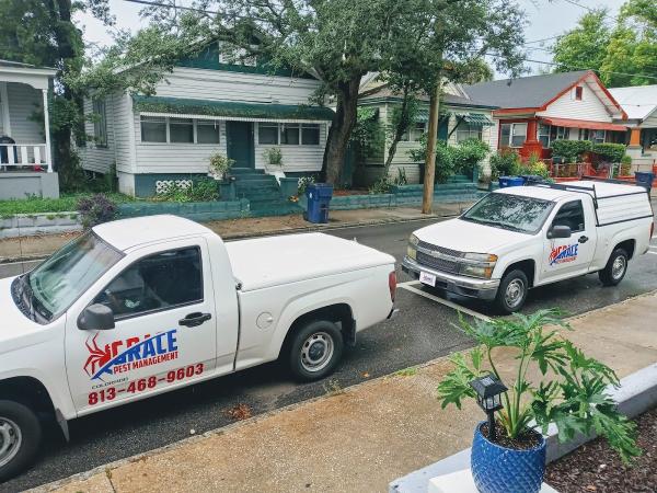 Grace Pest Management