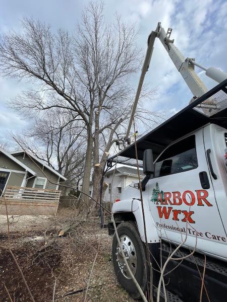 Arbor Wrx Professional Tree Care