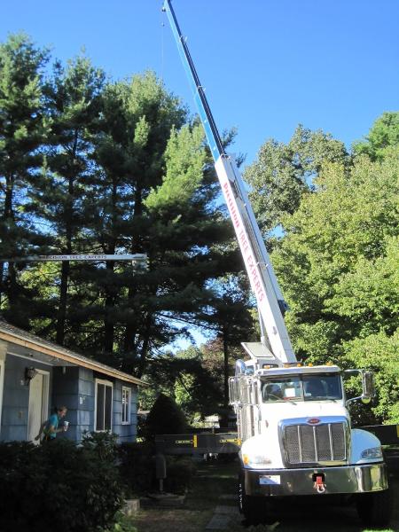 Precision Tree Experts LLC