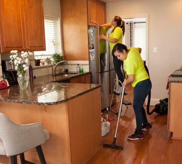 Skilled Maids