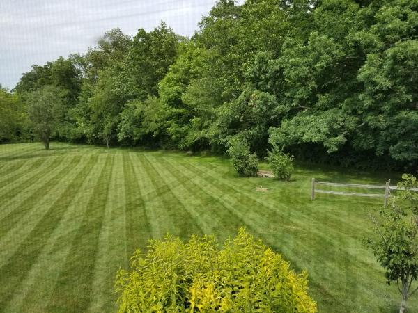 Grass Green Inc