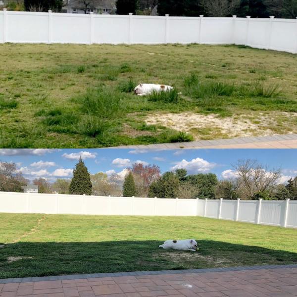 Kiko's Landscaping