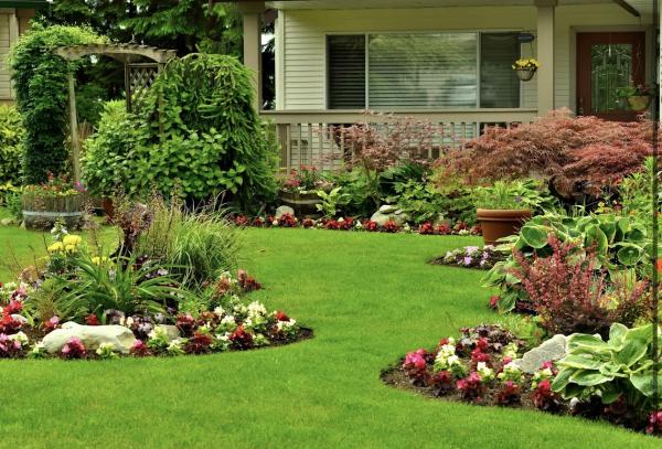 Premier Lawn and Landscape