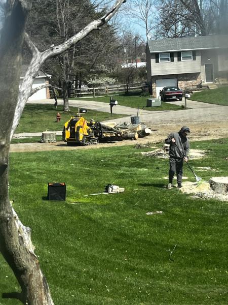 Beaver Tree Services LLC
