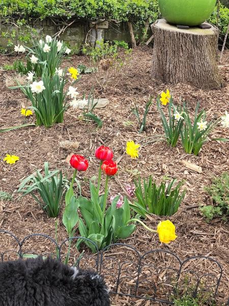 Little Violets Landscaping & Hardscaping