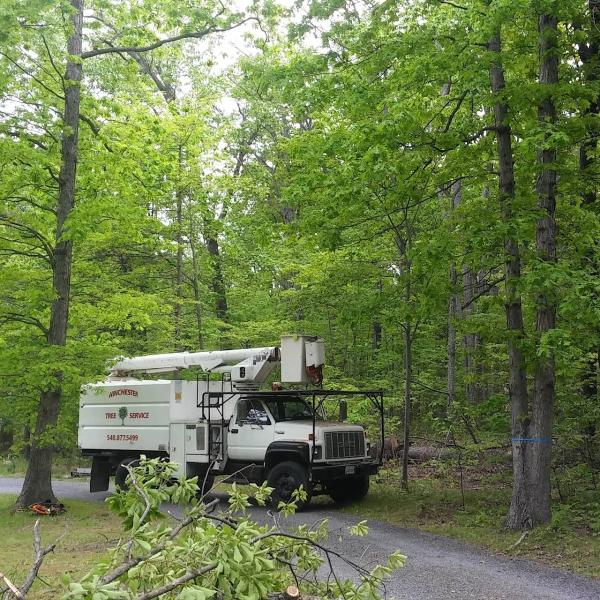 Winchester Tree Service LLC