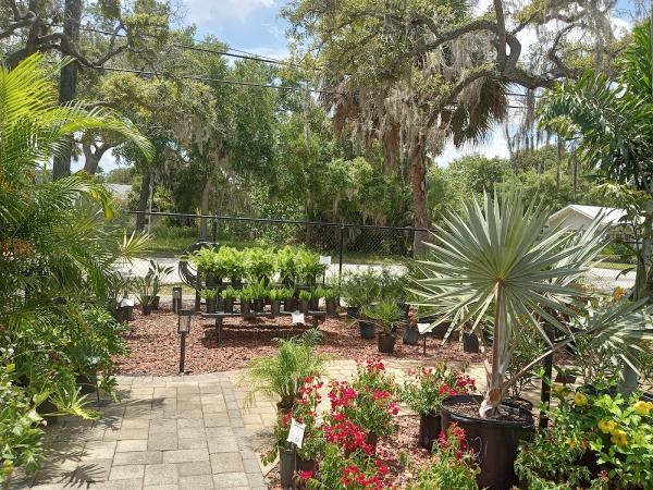 New Visions Full Service Nursery