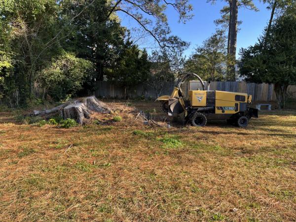 Tj's Stump Grinding