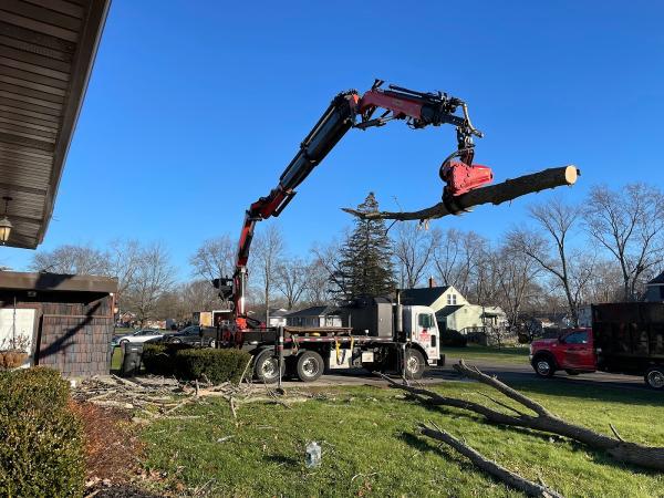 Woodchuck Tree Service