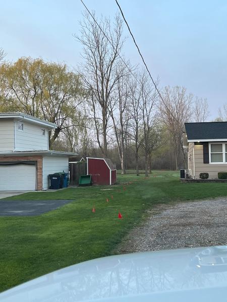 Woodchuck Tree Service
